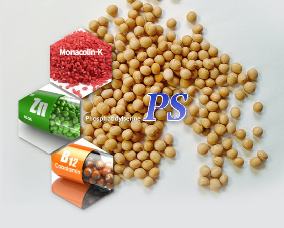 메타 브레인 피에스(PS)